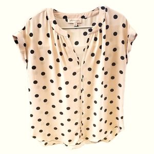 Philosophy Pink And Black Polka Dot Sheer Top